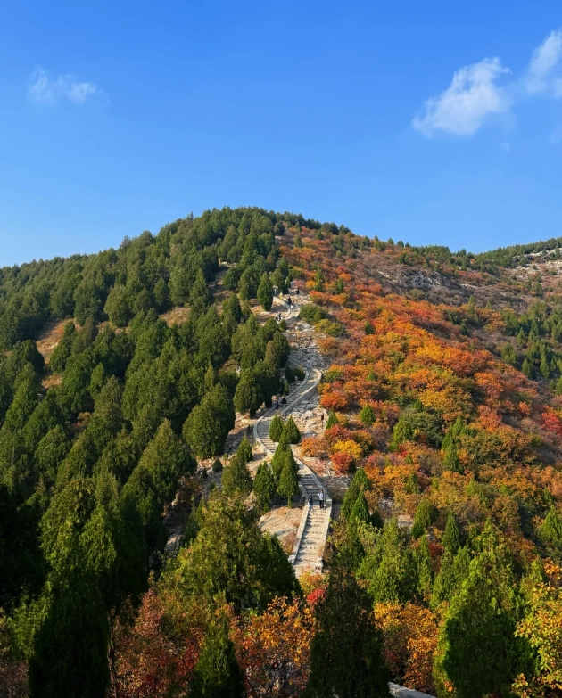 Shandong travel guide for foreigners Shandong travel guide for foreigners