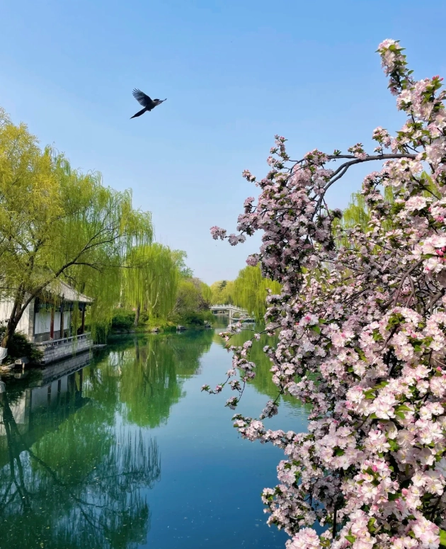 Shandong Spring Travel Tips: Beat the Fog and the Crowds