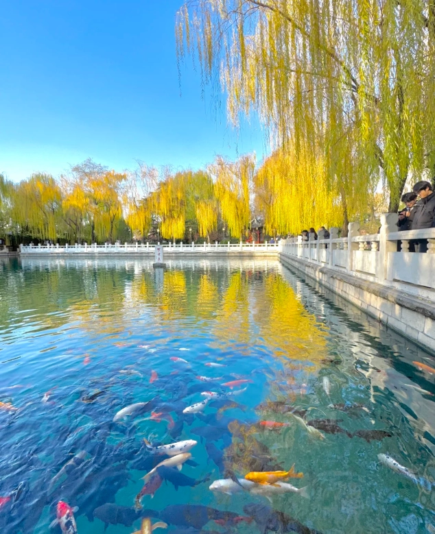 Qingdao autumn things to do Qingdao autumn things to do