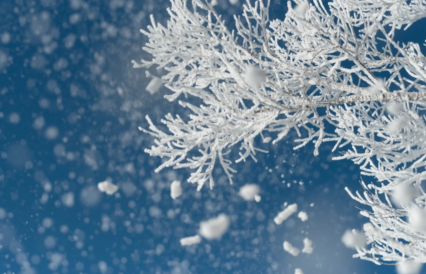 changbai mountain winter travel changbai mountain winter travel