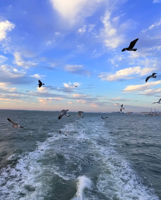 Qingdao Jiaodong airport guide Qingdao Jiaodong airport guide