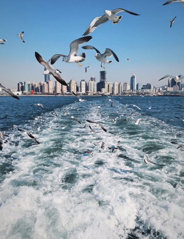 Shandong 240 Hour Visa: The 10-Day Route I Give Clients