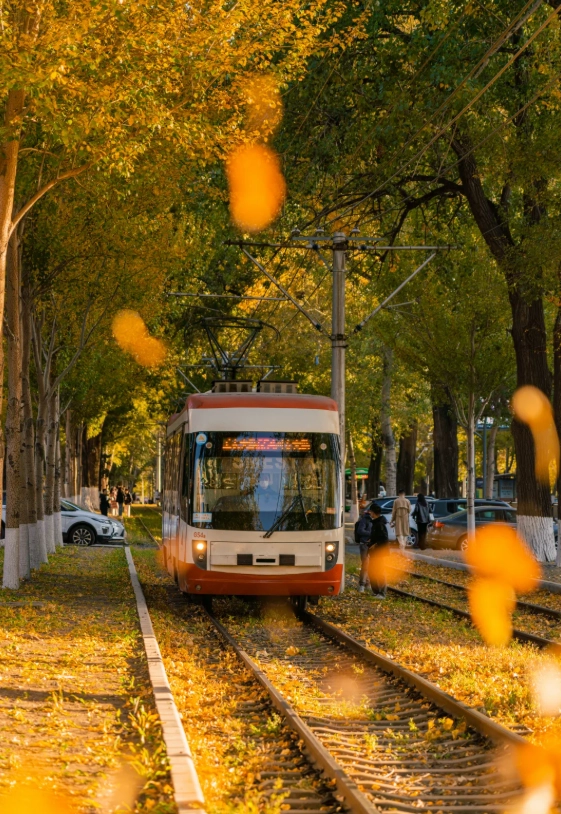 How to Get to Jilin from Shenyang: Trains, Times & Tickets