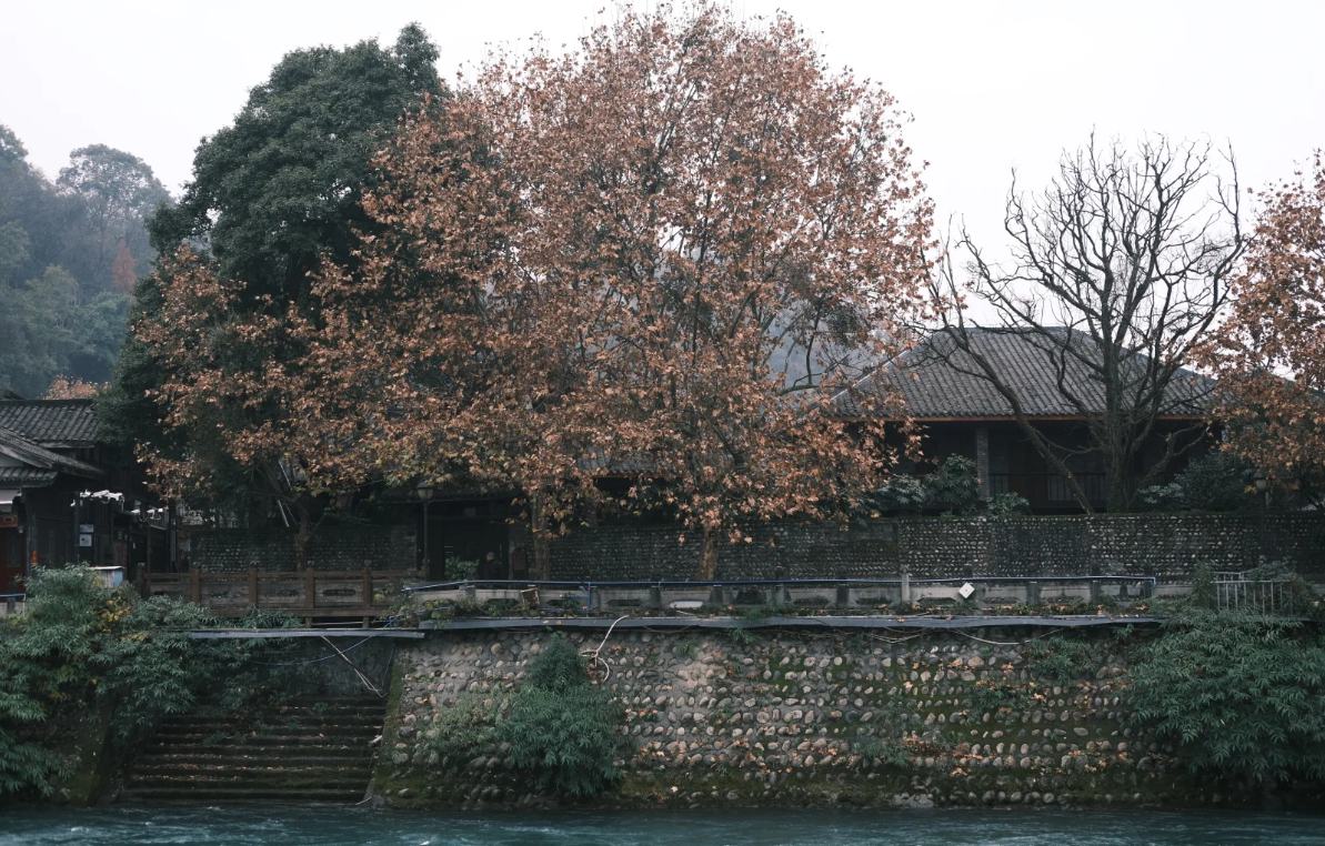 Travel photos of Chengdu