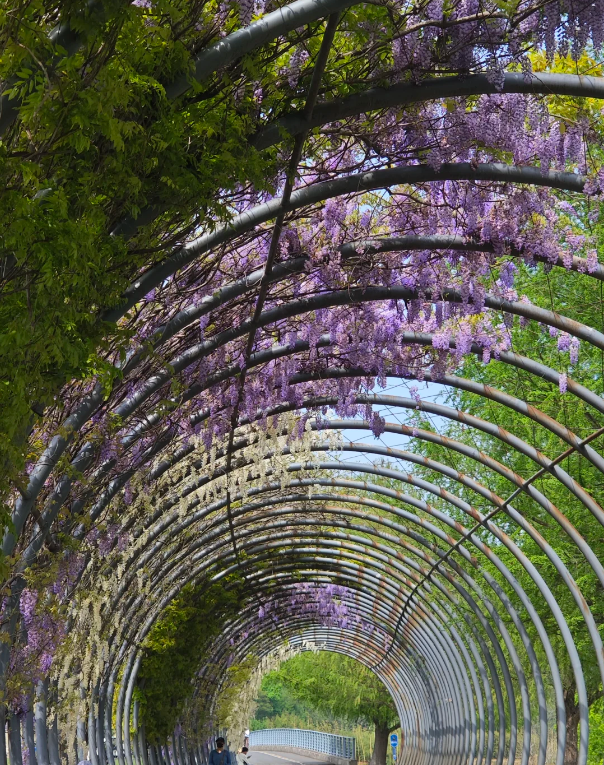 Chenshan Botanical Garden