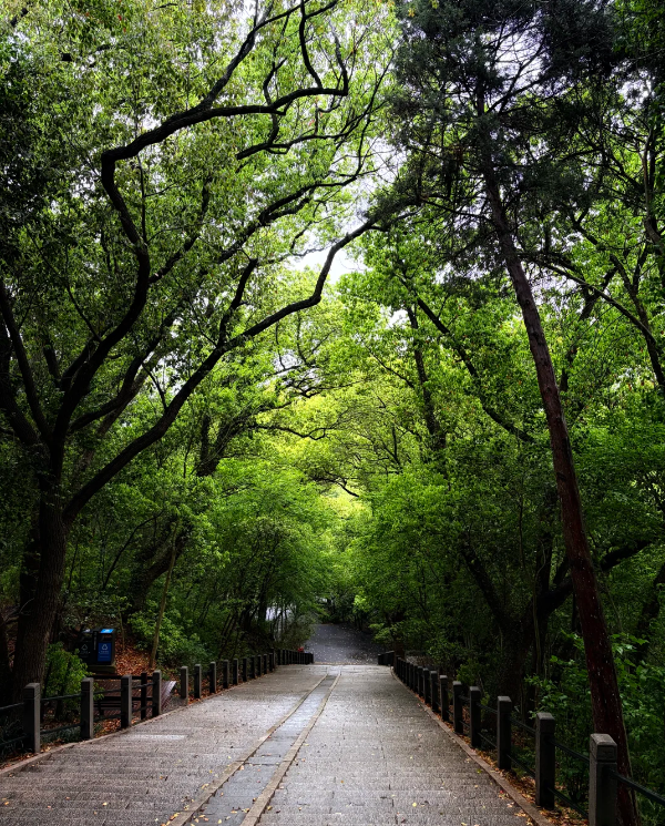 Sheshan National Forest Park