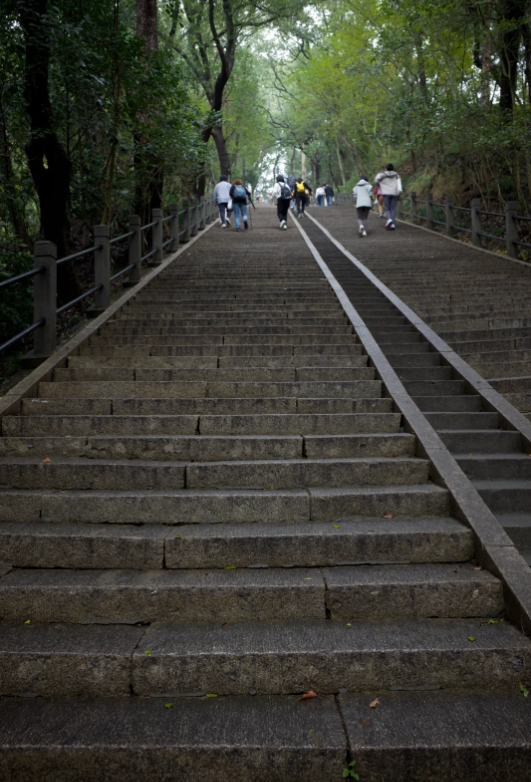 Photo of Sheshan National Forest Park