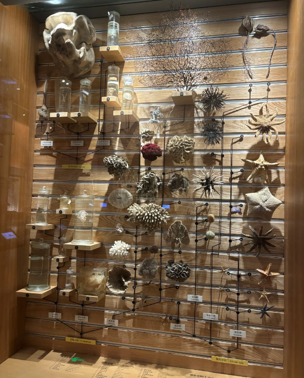 Photo of Shanghai Natural History Museum