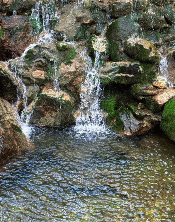 Photo of Niubeiliang National Forest Park
