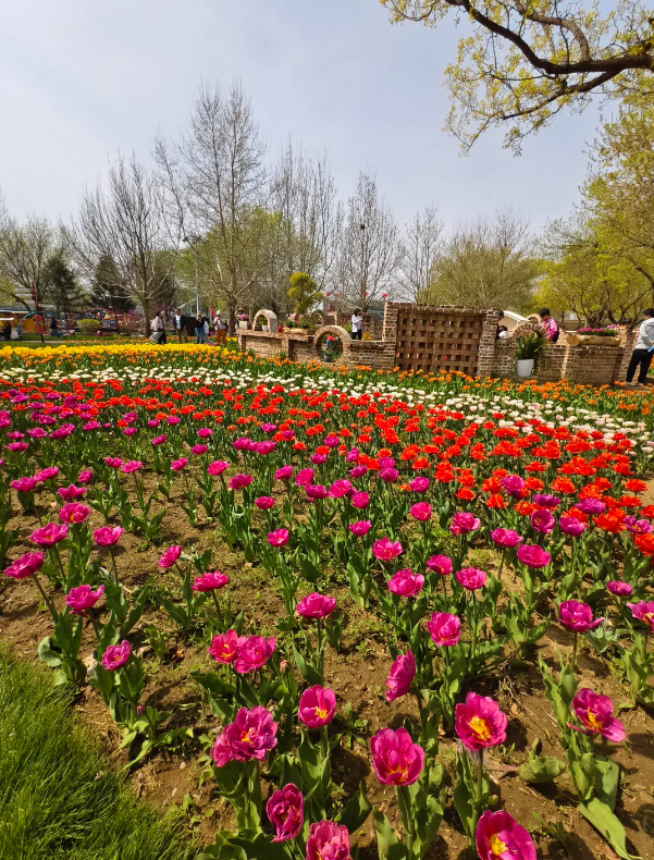 Photo of Beijing International Flower Port