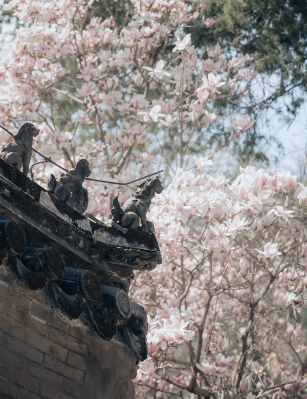 Photo of Tanzhe Temple